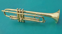 Parduba trumpet